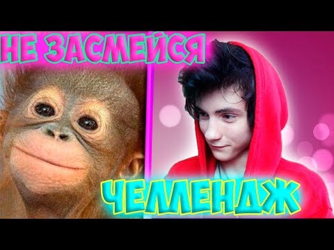 Видео: САМОЕ УГАРНОЕ ВИДЕО В МИРЕ | ПОПРОБУЙ НЕ ЗАСМЕЯТЬСЯ ЧЕЛЛЕНДЖ | TRY NOT TO LAUGH CHALLENGE | ЧЕЛЛЕНДЖ
