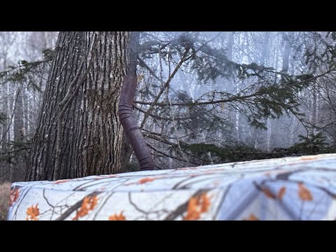 Видео: Выезд на рыбалку с ночевкой. Уссури. 25-26 октября 2025. #хариус #уссури #горнаярека #горнаярыбалка 