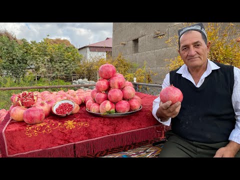 Видео: АНОРЛАРНИ ТЕРДИК😱ХОСИЛГА БАХО БЕРИНГ БУ ЙИЛ ХОСИЛ ЗУР БУЛДИ 28.10.2025