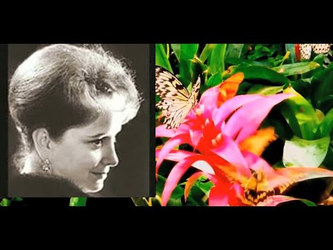 Видео: Тамара Милашкина поет русский романс - Петр Булахов "И нет в мире очей"