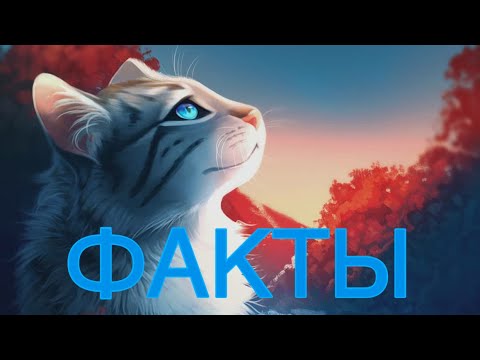 Видео: Факты о Серебрянке|«Коты-Воители»