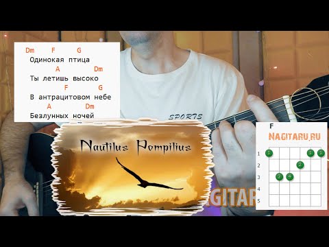 Видео: Наутилус - Одинокая птица. Аккорды и разбор на гитаре