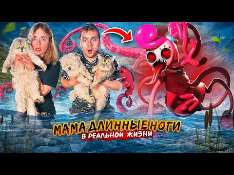 Видео: МАМА ДЛИННЫЕ НОГИ В РЕАЛЬНОЙ ЖИЗНИ | 24 ЧАСА НА ЗАКОЛДОВАННОМ ПРУДУ С КОТОМ И СОБАКОЙ