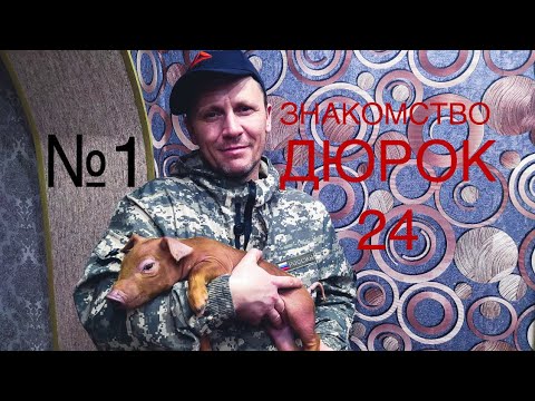 Видео: №1 Знакомство свиновода