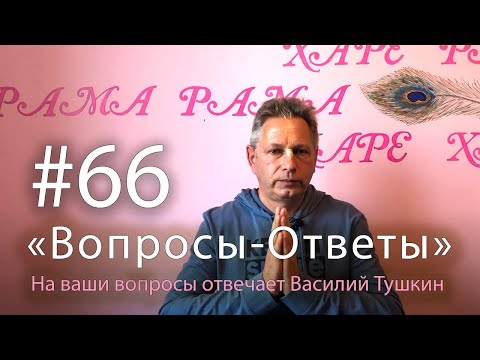 Видео: "Вопросы-Ответы", Выпуск #66 - Василий Тушкин отвечает на ваши вопросы