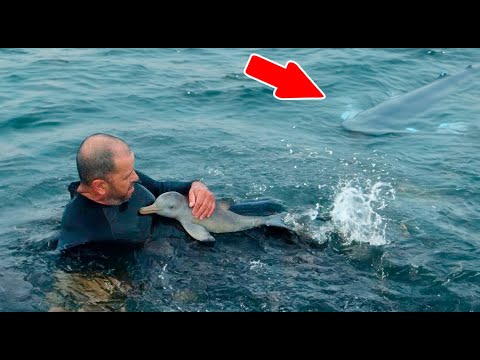 Видео: Дайвер спас крошечного дельфиненка, не догадываясь, что скрывалось рядом с ним!
