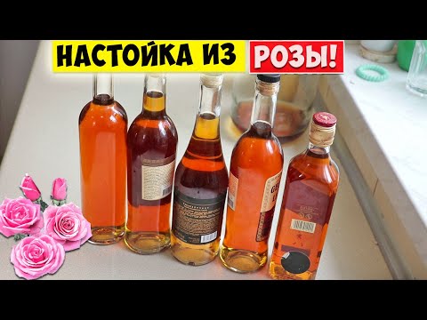 Видео: Настойка из Лепестков РОЗ / Ликер из Розы