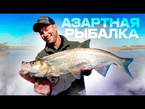 Видео: ОТ ЭТОЙ РЫБАЛКИ МОЖНО СОЙТИ С УМА! НЕРВЫ НА ПРЕДЕЛЕ... Экспедиция Владивосток-Москва. Часть 2. 4K