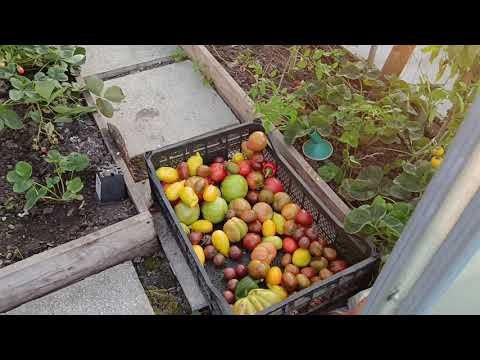 Видео: Уезжаем с дачи Тюмень