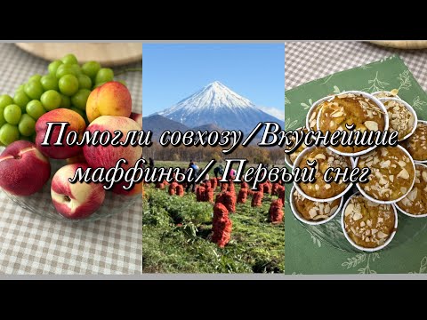 Видео: Помогли совхозу🥕🥕🥕Вкуснейшие маффины🧁Первый снег❄️
