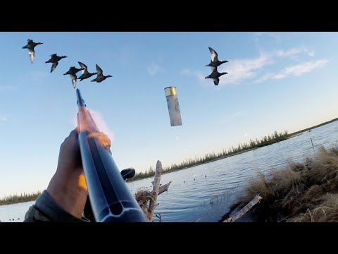 Видео: ОХОТА НА ТУРПАНА НА КОЛЫМЕ 2021. ВСЕ СЕРИИ ПОДРЯД. HUNTING FOR VELVET SCOTER IN SIBERIA. KOLYMA
