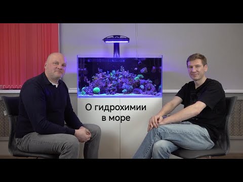 Видео: Андрей Середа о гидохимии в море