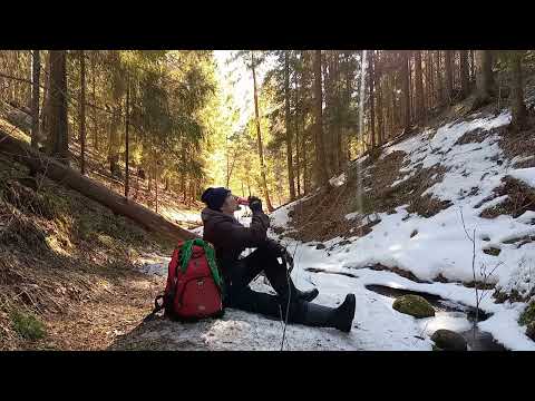 Видео: Лайфстайл 🚴‍♂🌲☀ Вело 🚲 покатушка 🌲