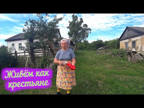 Видео: Село Кислино / Жизнь в деревне / Заброшенные деревни / Орловская область