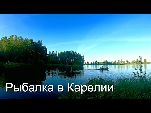 Видео: Ловля окуня, щуки в траве! Дикие места, рыбалка на таежном озере на спиннинг! Карелия 2022