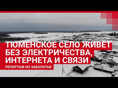 Видео: Тюменское Заболотье: без дороги, интернета и электричества | 72.RU