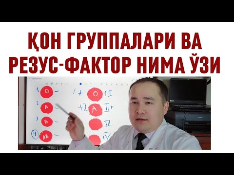 Видео: ҚОН ГУРУҲЛАРИ ҲАҚИДА БАФУРЖА МАЪЛУМОТ ДОКТОР ИСЧАНОВДАН АЖОЙИБ ТУШУНТИРИШ, РЕЗУС ФАКТОР НИМА, ГРУППА