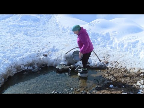 Видео: Как живут в вымирающих сёлах Алматинской области