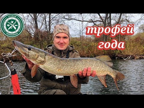 Видео: ТРОФЕЙ ГОДА ! Рыбалка на щуку 2025