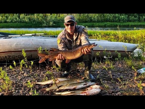 Видео: Рыбалка по сибирским таёжным речкам 2025.