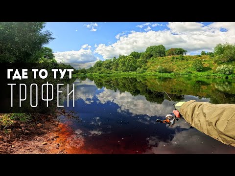 Видео: 🐟Живописные перекаты и Душевные Окуни! #мормышинг #рыбалка