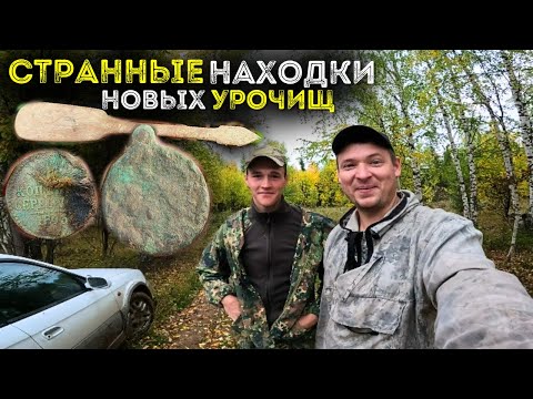 Видео: Копаем осенью монеты на новых урочищах Активный коп монет 2024