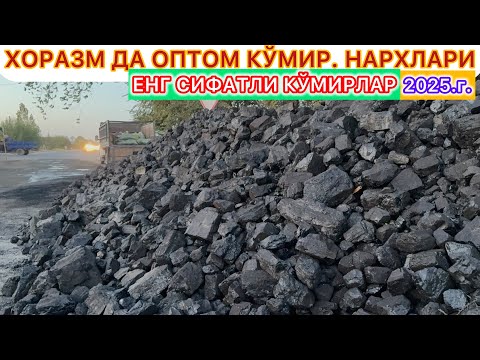 Видео: ХОРАЗМ ДА ОПТОМ КЎМИР НАРХЛАРИ ЕНГ СИФАТЛИ КЎМИРЛАР 18-сентября 2025 г.