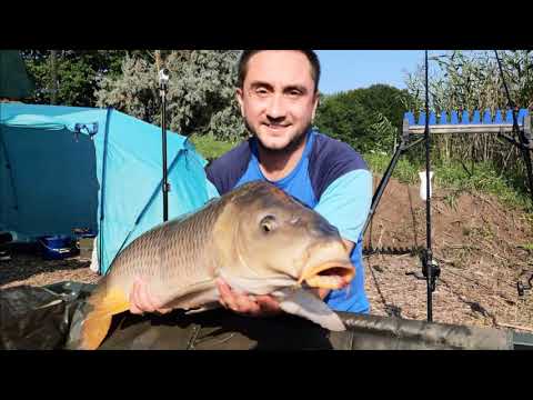 Видео: Карповая рыбалка водоём Карпыч 25 рыб за сутки!!! ОГОНЬ!