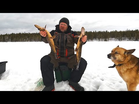 Видео: Рыбалка на диком озере с двумя ночёвками. Или с одной...