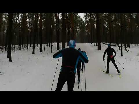Видео: Контрольная тренировка, дабл, 7-14 км, Волкуша, 08.01.2025