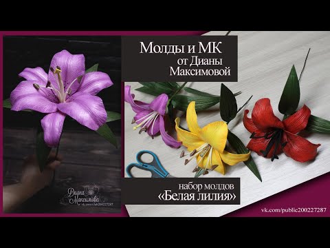 Видео: молды для лилии из изолона