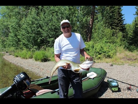 Видео: ЭКОЛОГИЧЕСКИ ЧИСТО_ПУТЕШЕСТВИЕ НА АЗАС