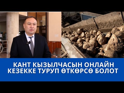 Видео: КАНТ КЫЗЫЛЧАСЫН ОНЛАЙН КЕЗЕККЕ ТУРУП ӨТКӨРСӨ БОЛОТ