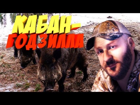 Видео: Кабан - годзилла | Big Game Hunter Pro Hunts #3