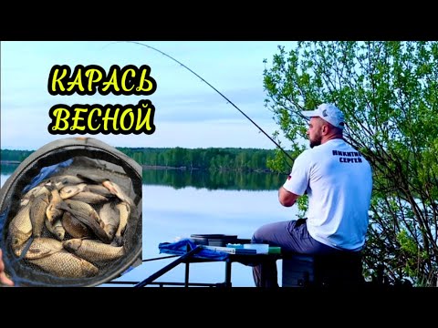 Видео: Весенний жор карася ! Ловля на фидер май 2024 #рыбалка #фидер #карась