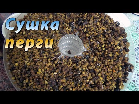 Видео: Как сушить пергу в домашних условиях. Сушка перги