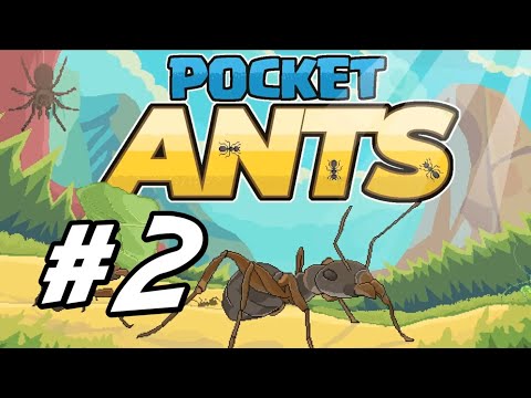 Видео: Играем в pocket ants симулятор колонии муравьёв набор в клан!!!