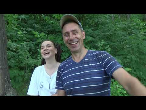 Видео: Медовый рой. Как поймать рой пчел.