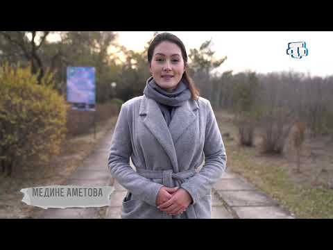 Видео: Тарих излери. Ташлы-Къыпчакъ кою  20.12.2020