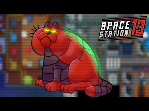 Видео: Космическая станция 13 - Супер синди-КОТ-астрофа