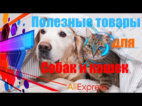 Видео: Полезные товары для собак и кошек с Алиэкспресс.  Aliexpress Зоо товары.