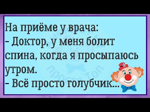 Видео: 🔥Однажды Друзья Прислали Чукче...Большой Сборник Весёлых Анекдотов, Для Супер Настроения!