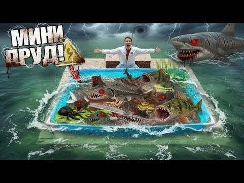 Видео: Строим мини-пруд, наполненный экзотическими ДИКИМИ РЫБАМИ!