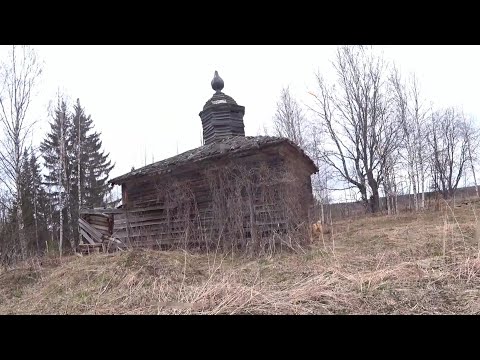 Видео: копаем железо в экспедиции