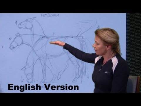 Видео: Простой рисунок туловища лошади для начинающих