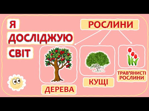 Видео: Дерева, кущі та трав'янисті рослини | Я досліджую світ