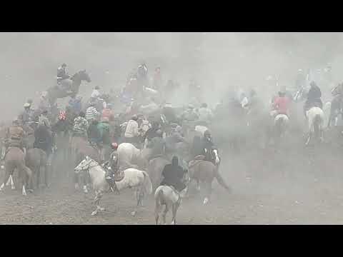Видео: бузкаши дар сейчас 11.01.2025