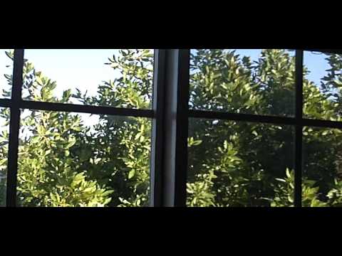 Видео: Дешёвая квартира во Флориде Нэйплз.