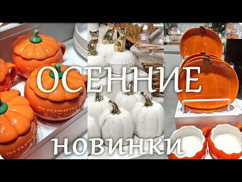 Видео: 🍁НАШЛА МНОГО ОСЕННЕЙ ПОСУДЫ в Modi🍁