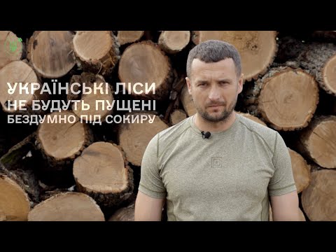 Видео: Дрова для населення | як перевірити кількість дров при купівлі?